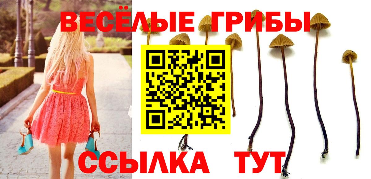Кировск  Галлюциногенные грибы Magic Shrooms  магазин    Вход с VPN 